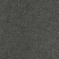 Canapé DUNE 2 Places - Gris Anthracite - TEMAHOME -Promos Chesteris Boutique canape 12513951