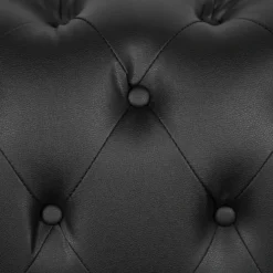 Canapé 2 Places En Cuir PU Noir VISSLAND 16 Canapé 2 Places En Cuir PU Noir VISSLAND -Promos Chesteris Boutique canape 16665973