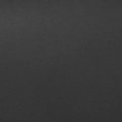 Canapé 2 Places En Cuir PU Noir VISSLAND 17 Canapé 2 Places En Cuir PU Noir VISSLAND -Promos Chesteris Boutique canape 16665975