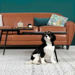 Canapé Club 3 Places Camel -Promos Chesteris Boutique canape 18039931