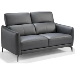 Canapé 2 Places Rembourré En Cuir Pieds Acier Appui-tête à 5 Positions 5 Canapé 2 Places Rembourré En Cuir Pieds Acier Appui-tête à 5 Positions -Promos Chesteris Boutique canape 19455471