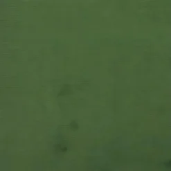 Canapé-lit à 2 Places Avec Deux Oreillers Vert Foncé Velours -Promos Chesteris Boutique canape 21995841