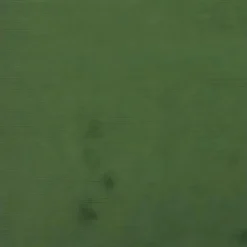 Canapé-lit à 2 Places Vert Foncé Velours -Promos Chesteris Boutique canape 22000175