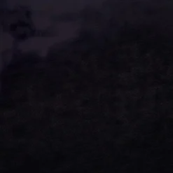 Canapé à 2 Places Tissu Noir -Promos Chesteris Boutique canape 22003181