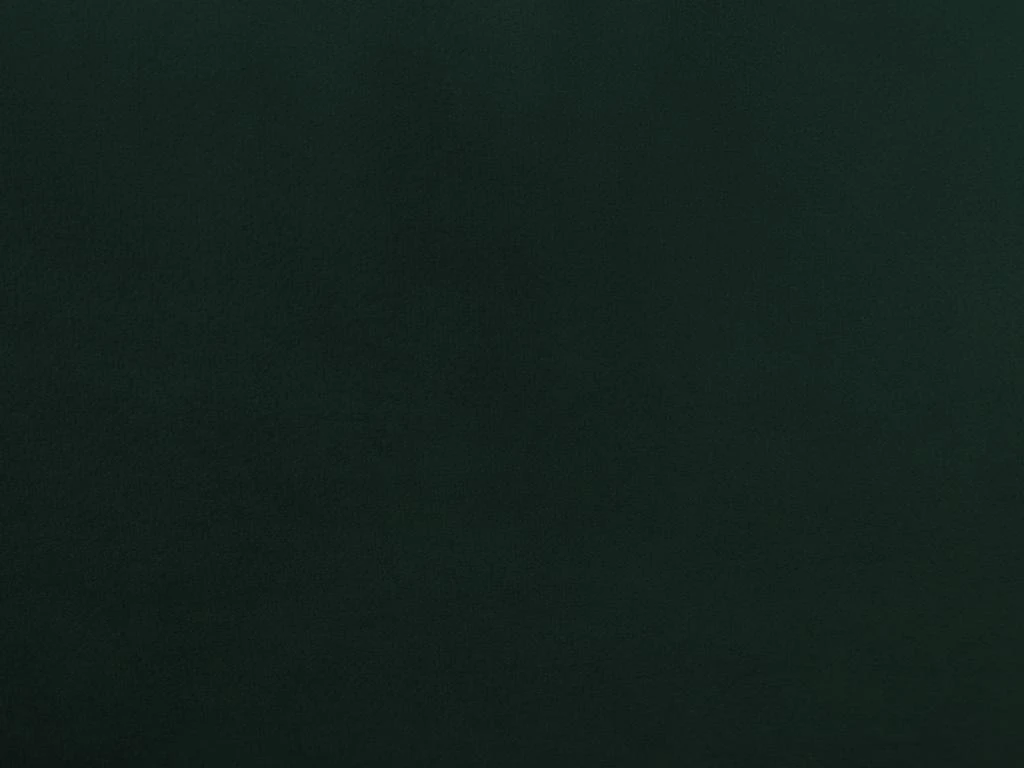 Canapé 3 Places En Velours Vert Sapin ESTELA 7 Canapé 3 Places En Velours Vert Sapin ESTELA – Image 7