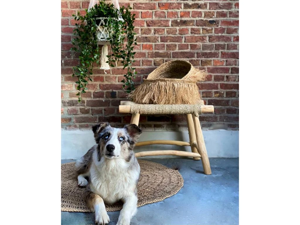 Tabouret Porto En Jonc De Mer 2 Tabouret Porto En Jonc De Mer – Image 2